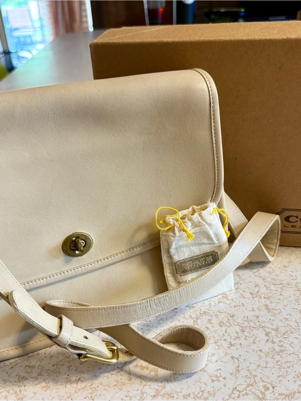 COACH Vintage City Bag 09790 - BONE